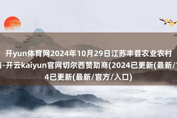 开yun体育网2024年10月29日江苏丰县农业农村局价钱行情-开云kaiyun官网切尔西赞助商(2024已更新(最新/官方/入口)