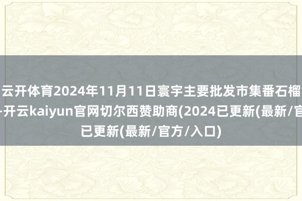 云开体育2024年11月11日寰宇主要批发市集番石榴价钱行情-开云kaiyun官网切尔西赞助商(2024已更新(最新/官方/入口)