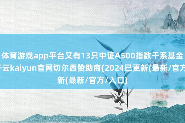 体育游戏app平台又有13只中证A500指数干系基金上报-开云kaiyun官网切尔西赞助商(2024已更新(最新/官方/入口)