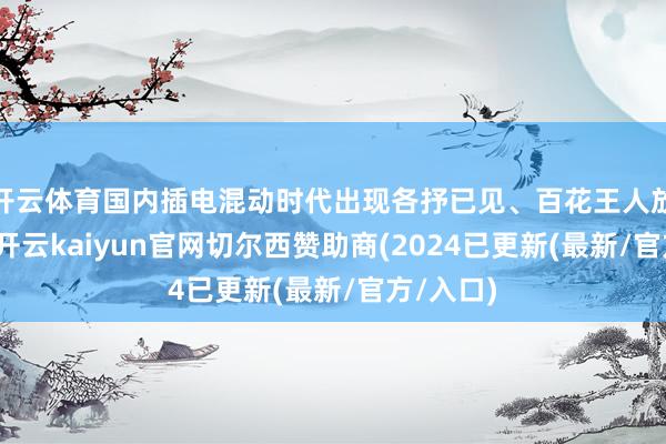 开云体育国内插电混动时代出现各抒已见、百花王人放的场面-开云kaiyun官网切尔西赞助商(2024已更新(最新/官方/入口)